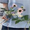 CTRSM Flower Bouquet Wrapping Paper, 56 cm x 10 Yards, Transparent OPP Cellophane view 3