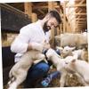 CIYODO Attachment for Efficient Sheep Shearing, Electric Sheep Clipper with Plastic Anti-Injury Design for Professional Barn Grooming view 2