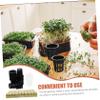 Hydroponic Growing Kit with Rockwool Cubes for Flowers and Vegetables view 3