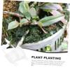 10-Pack Plastic Plant Pots with Drainage Holes and Smooth Surface view 4