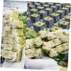 VANZACK Hydroponic Rockwool Germination Cube, 36 × 36 × 40 mm view 2