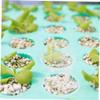 PartyKindom 300-Piece Transparent Plant Dome Covers view 3