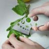 Multifunctional 7-Hole Metal Vanilla Cutter, Dishwasher-Safe view 3