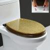 Gvqng Glitter Toilet Seat with Soft-Close, Resin, Stainless Steel Hinges view 1
