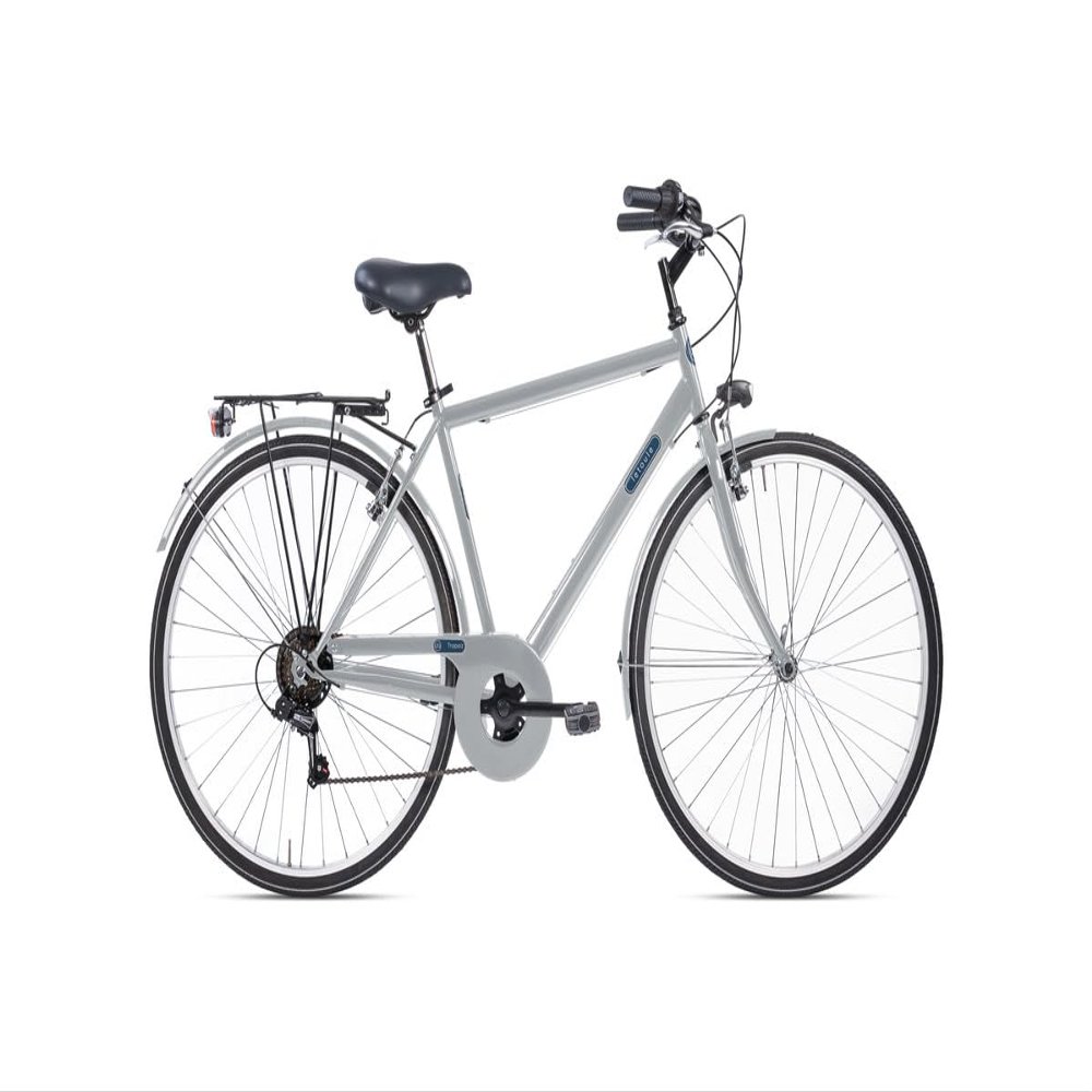 Letoule Tropaiz City Bike, 28 in (71 cm), 6-Speed, Steel Men's, Ash Gray (Light Gray), Size 54