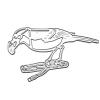 YPREWY Metal Die Cut Template with Parrot Design view 1
