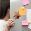 3D Animal Refrigerator Magnets view 2