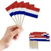 100 Count Netherlands Toothpick Flags view 1