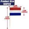 100 Count Netherlands Toothpick Flags view 2
