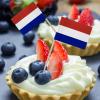 100 Count Netherlands Toothpick Flags view 4