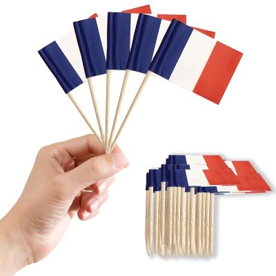 100 Pack French Toothpick Flags Cocktail Sticks