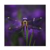 HJLUUFT Purple Dragonfly Print Wrinkle-Resistant Tablecloth, 140 x 140 cm view 4