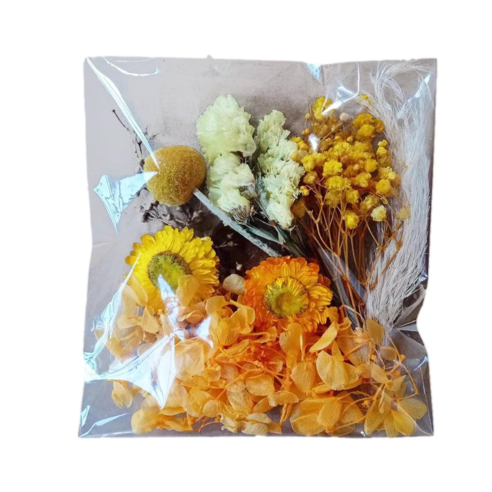 Dried Flowers for Vase, Natural Petals Kit