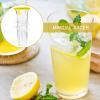Manual Lemon Juicer view 2
