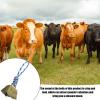 Berriphonia Cow Bells with Chain Links view 2