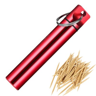 Travel Toothpick Case