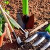 Uonguon Garden Dibber, Portable Ergonomic Reusable Seed Planter, Bulb Transplanter, 14 x 2 cm view 3