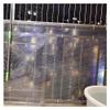Clear Acrylic Plastic Sheet, 1.2 mm Thick Polycarbonate Roofing Sheet, UV Protection, Rain-Resistant Daylight Panels, Impact-Resistant Fiberglass Insulation, Easy to Bend and Cut (Color view 3