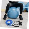 PartyKindom Fitness Accessories with Ankle Cuffs and Portable Tube Bands view 4