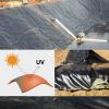 Reinforced Black Polyethylene Fish Pond Liner, 35S, 2.5 x 2.5 m view 3