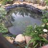 Durable HDPE Pond Liner, 6 m x 7 m, 0.50 mm, Black, Anti-Seepage Membrane for Fish Ponds, Waterfalls and Garden Fountains view 2