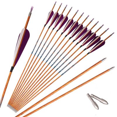 PHILOCS 12-Piece Purple/White Feather Carbon Arrows, 30 in, Spine 700