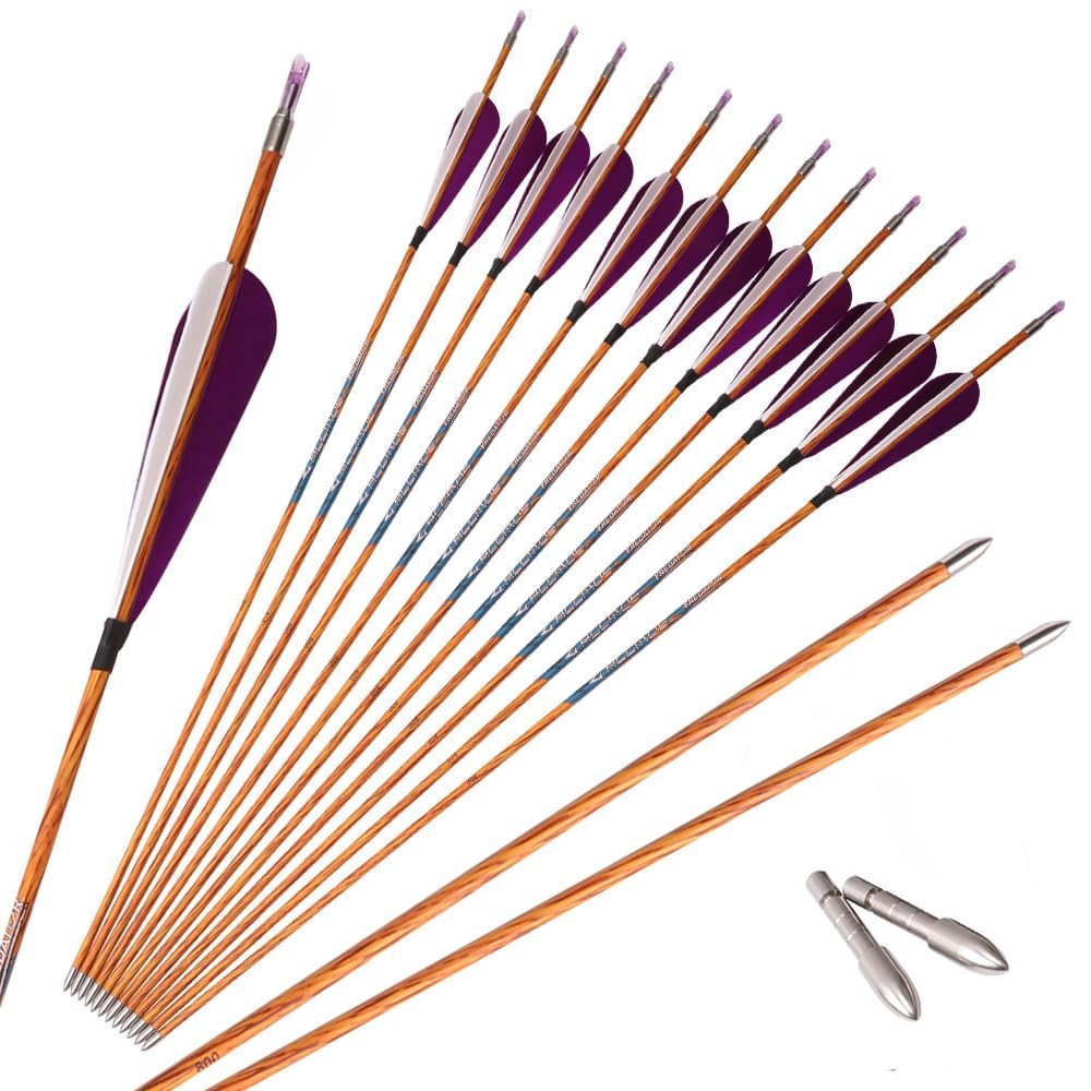 PHILOCS 12-Piece Purple/White Feather Carbon Arrows, 30 in, Spine 700