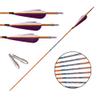 PHILOCS 12-Piece Purple/White Feather Carbon Arrows, 30 in, Spine 700 view 4