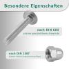 DSM Carriage Bolts M5 x 50 mm Set, DIN 603, 2 pcs., A2 Stainless Steel view 4