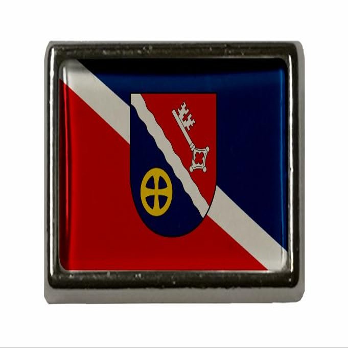 U24 Geestland Flag Pin