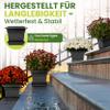 Centi 3-Piece Plant Oasis Set: 28 × 28 cm Planter (16 L) with Saucer, Anthracite view 4
