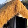 CURBX Artificial Thatch Roll, Synthetic Thatch Roof, Artificial Grass Roof for Outdoor Party Decorations at Beach Bars (0.5 x 13 m) view 2