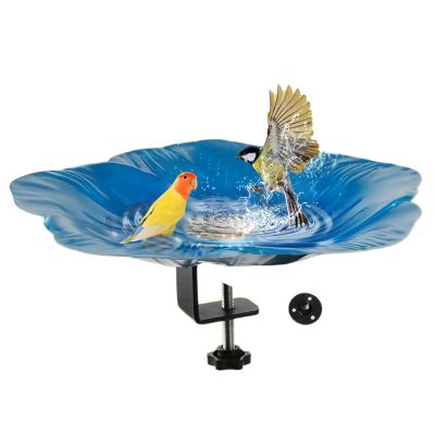 Outdoor Bird Bath with Feeding Bowl