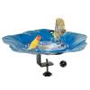 Outdoor Bird Bath with Feeding Bowl view 1