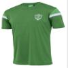 AS Saint-Étienne Men's ASSE Jersey, Official Collection, Green, M view 1