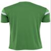 AS Saint-Étienne Men's ASSE Jersey, Official Collection, Green, M view 2