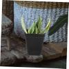 Happyyami 50-Pack Plant Pots for Garden and Balcony, Seedling Pots for Succulents and Houseplants with Drainage Holes view 4