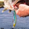 Realistic Durable Jerk Bait view 3