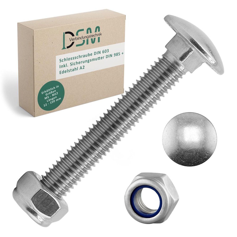 DSM Carriage Bolts M5 x 60 mm, DIN 603, 100-Piece Set, A2 Stainless Steel