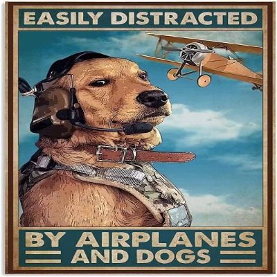 Outdoor Metal Sign, “Everything Distracted by Airplanes and Dog”