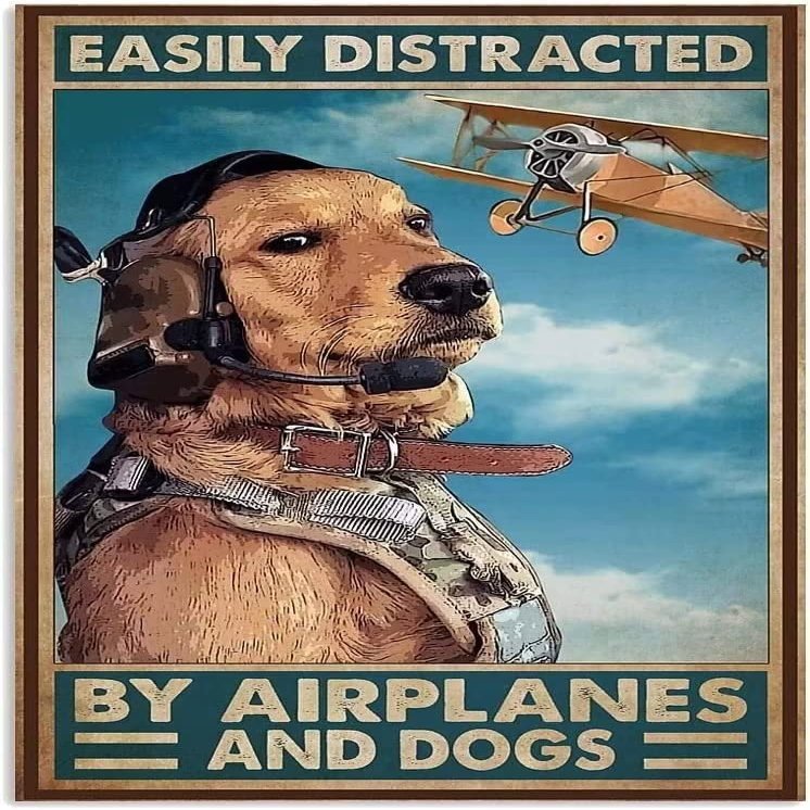 Outdoor Metal Sign, “Everything Distracted by Airplanes and Dog”
