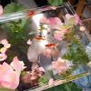 Transparent Acrylic Water Tank Photography Prop, 10 x 10 x 15 cm view 4