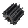 SAIL MARINE Self-Priming Seawater Pump with Flexible Rubber Impeller for JMP 8301-01 view 1