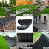 Permeable Paving Stones for Backyard, Pool and Deck, 10 m x 10 m, Pea Gravel Stabilization view 2