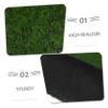 Realistic Green Artificial Grass Carpet Made of Plastic for Exhibitions view 3
