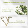 FEELEAD Artificial Olive Tree, 240 cm, with Olives view 4