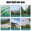 Koncey Hail Protection Net, 4 x 100 m, for Fruit Trees and Vegetables view 4