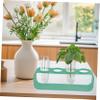Hydroponic Glass Test Tube Vases, 4-Piece Set for Plants, Transparent view 4