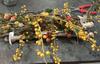 JOCHEN SCHWEIZER Gift Voucher: Floristry Course in Leonberg (2 Days) view 2