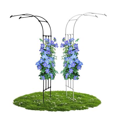 Metal Rose Arch Trellis, Black, 60 x 240 cm